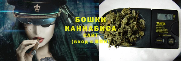 ECSTASY Богородск