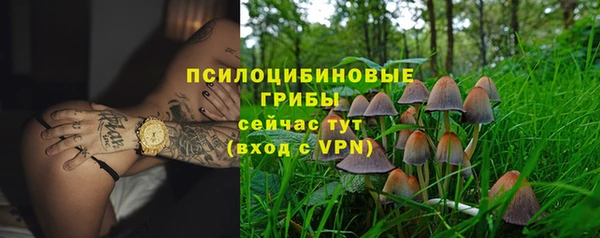 гидропоника Богданович